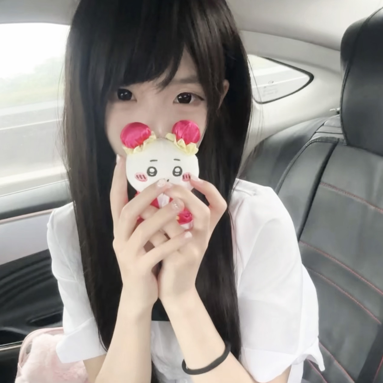 Staffordshire Bull Terrier