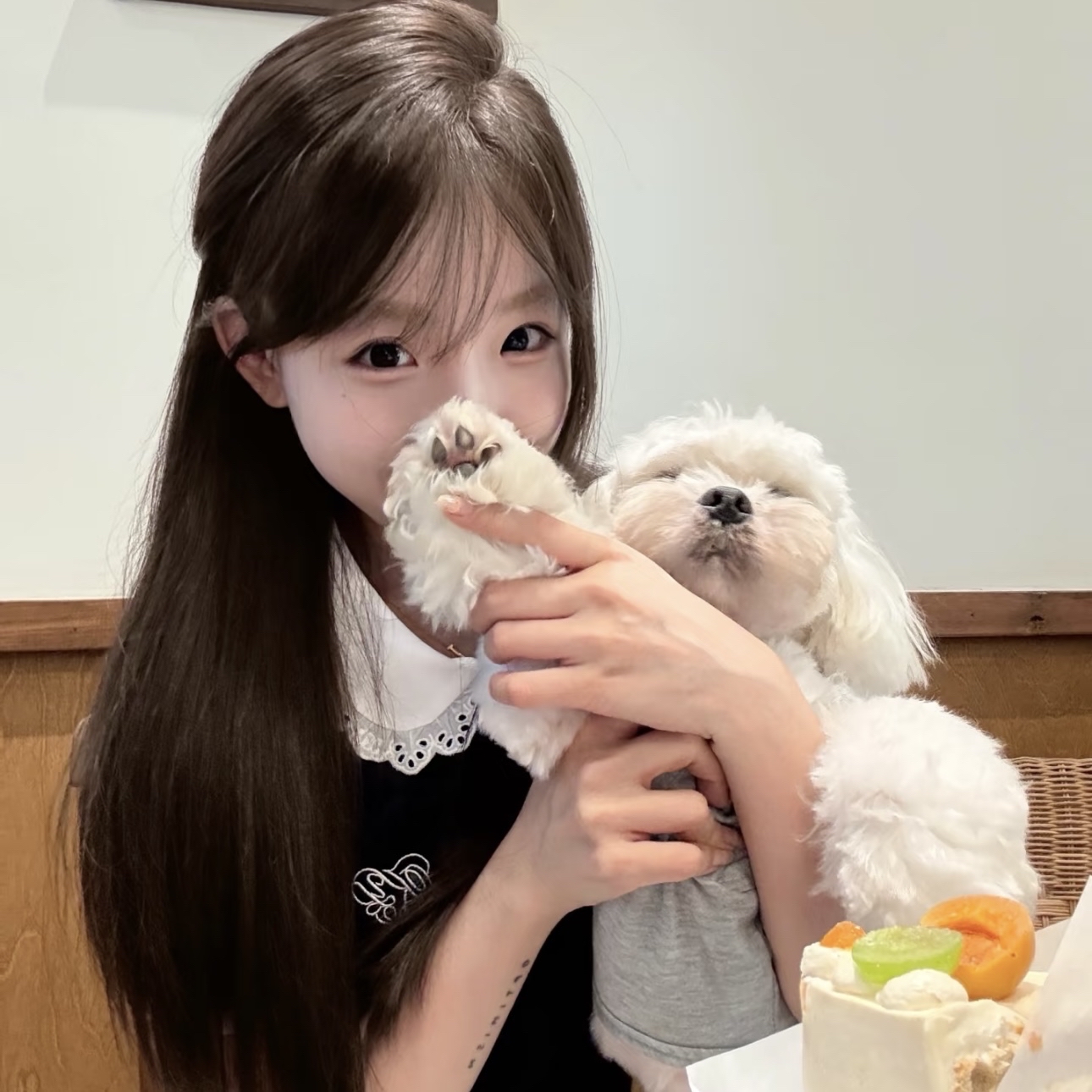 King Charles Cavalier